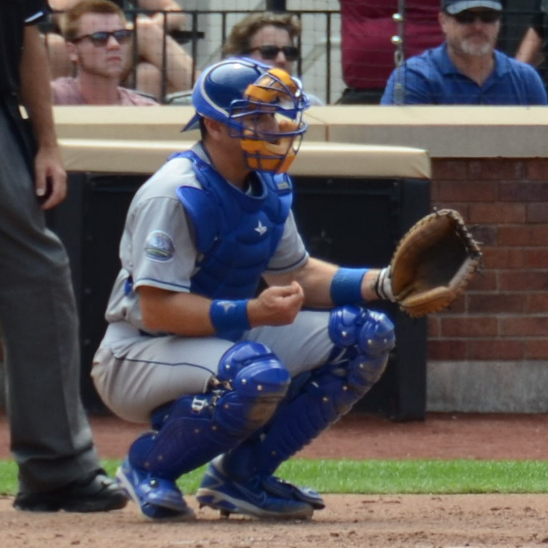 Matt Treanor & Misty May: Exploring Their Combined Net Worth